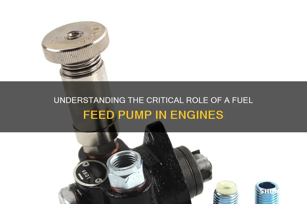 what is the function of fuel feed pump