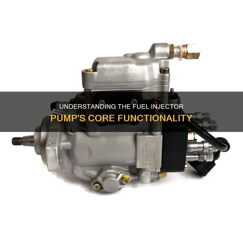 what is the function of fuel injector pump