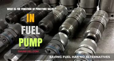 Understanding the Role of Puncture Valves in Fuel Pumps