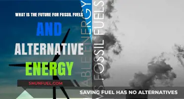 Fossil Fuels vs. Alternative Energy: Shaping Tomorrow's Sustainable Power Landscape