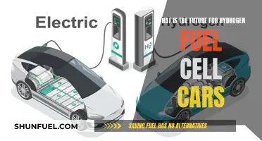 Hydrogen Fuel Cell Cars: The Future of Driving?