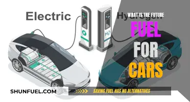 The Future of Cars: Sustainable Fuels for Tomorrow's Vehicles