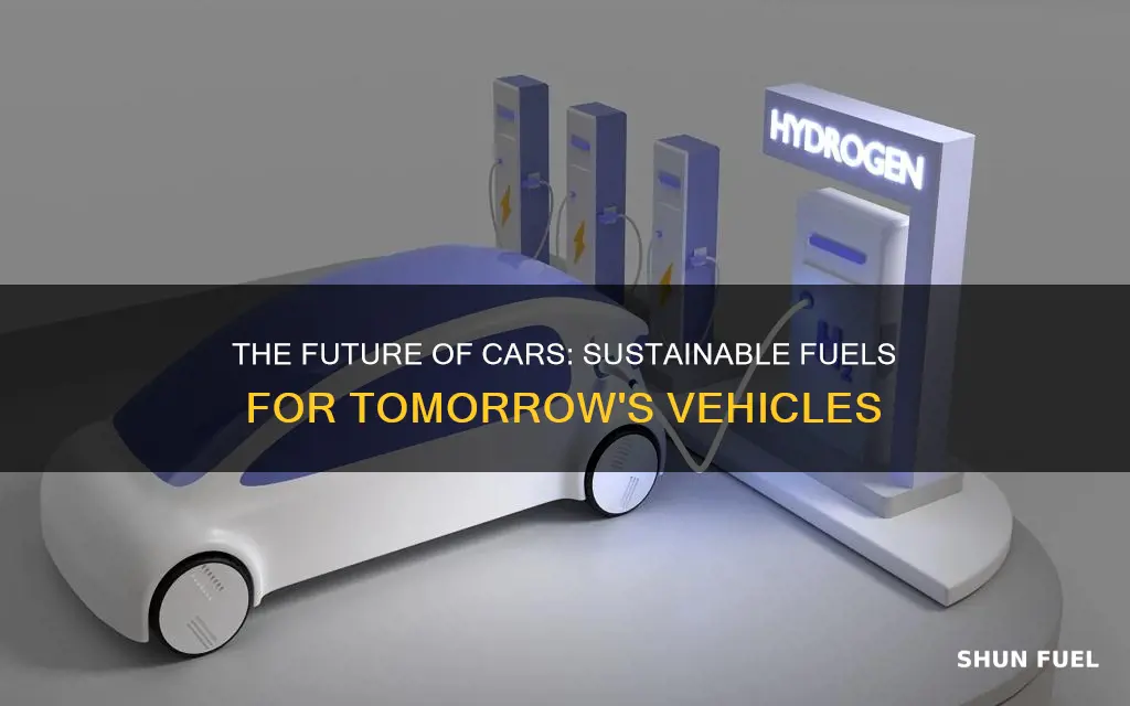 what is the future fuel for cars
