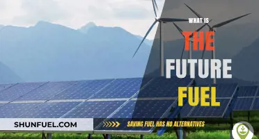 Exploring the Future of Fuel: Sustainable Energy Sources Unveiled