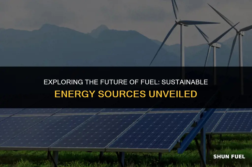 what is the future fuel