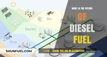The Future of Diesel: Sustainable or Extinct?