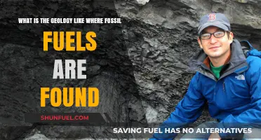 Exploring the Geology of Fossil Fuel Deposits and Their Formation