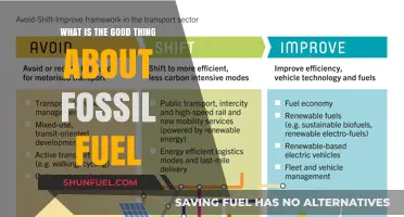 Fossil Fuels: Uncovering the Unexpected Benefits and Their Role Today