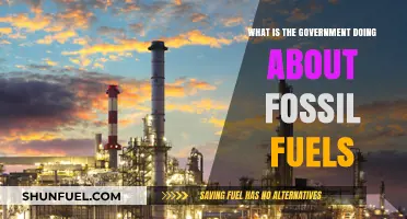 Government Actions on Fossil Fuels: Policies, Progress, and Future Plans