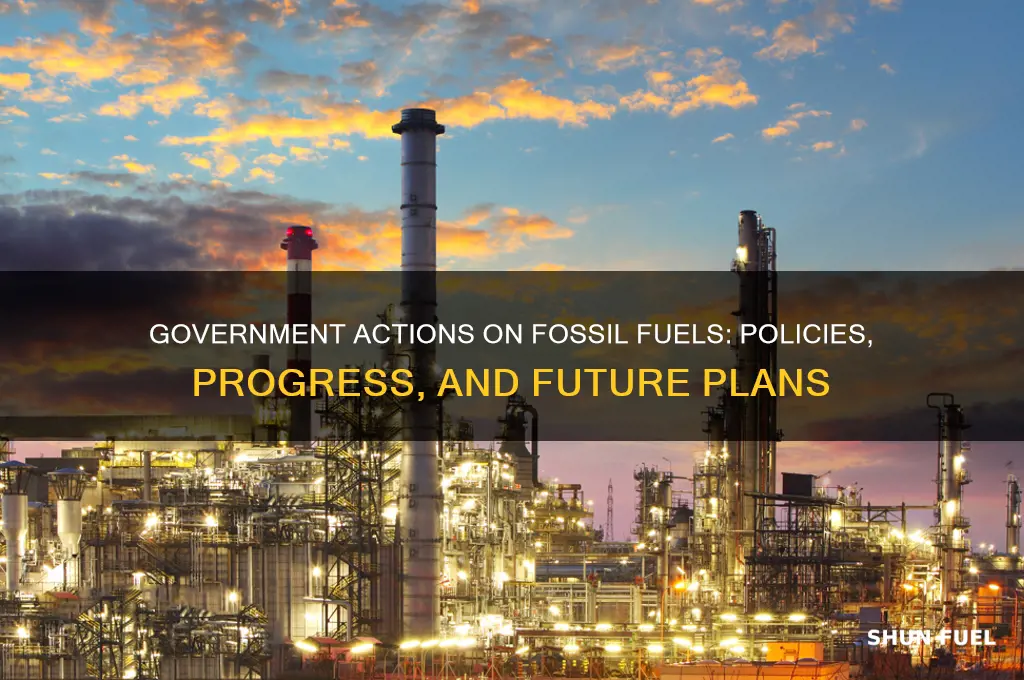 what is the government doing about fossil fuels