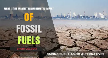 Fossil Fuels' Devastating Environmental Impact: Climate Change and Beyond