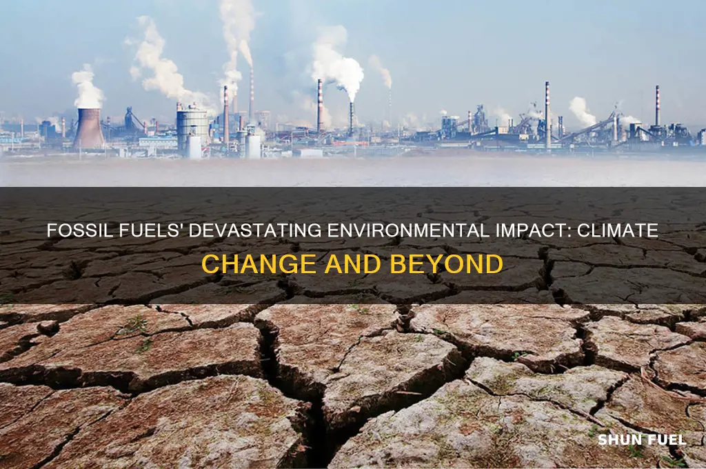 what is the greatest environemntal impact of fossil fuels