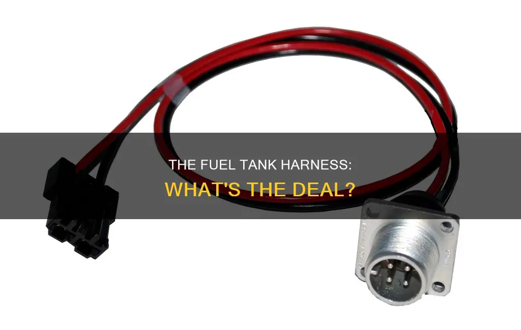 what is the harness by fuel tank on