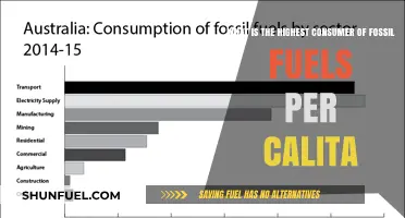 Fossil Fuel Consumption: Which Sector Burns the Most per Capita?