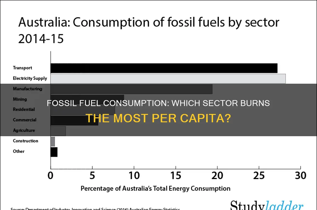 what is the highest consumer of fossil fuels per calita