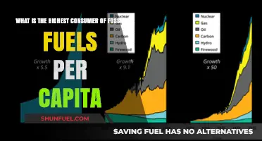 Per Capita Fossil Fuel Consumption: Which Country Tops the List?
