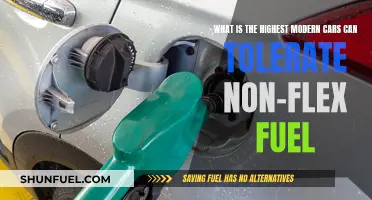 Modern Cars and Their Fuel Flexibility Limits Explored