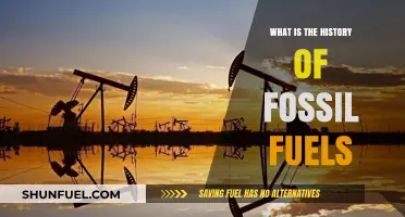 The Evolution and Impact of Fossil Fuels: A Historical Overview