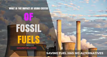 Excess Fossil Fuel Use: Devastating Environmental and Health Impacts Revealed