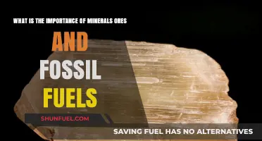 Minerals, Ores, and Fossil Fuels: Powering Our World and Future