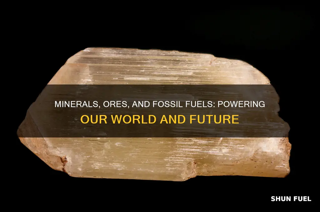 what is the importance of minerals ores and fossil fuels