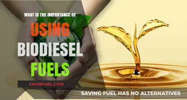Biodiesel Fuels: A Sustainable Solution for a Greener Future
