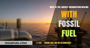 Unveiling the Global Giant: The Largest Fossil Fuel Organization