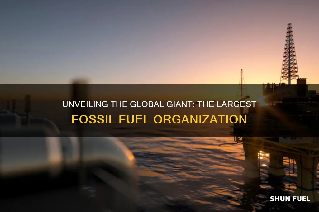 what is the largest organization dealing with fossil fuel