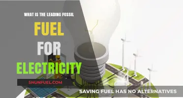 The Dominant Fossil Fuel Powering Global Electricity Generation
