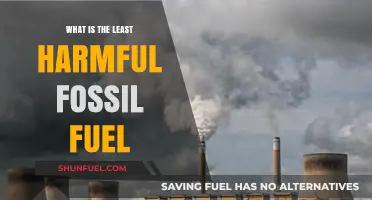 Exploring the Least Harmful Fossil Fuel: A Comparative Analysis