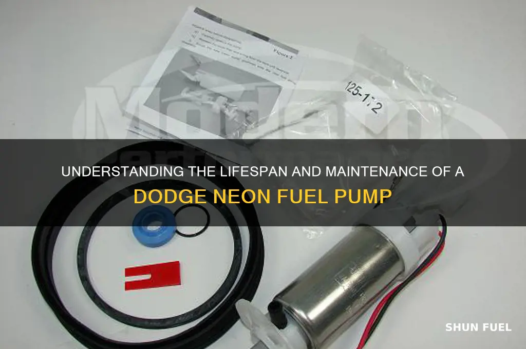 what is the life on a dodge neon fuel pump