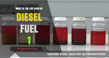 How Long Does Diesel Fuel Last?