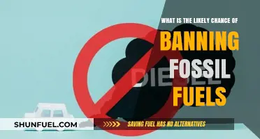 The Future of Energy: Banning Fossil Fuels – A Realistic Outlook