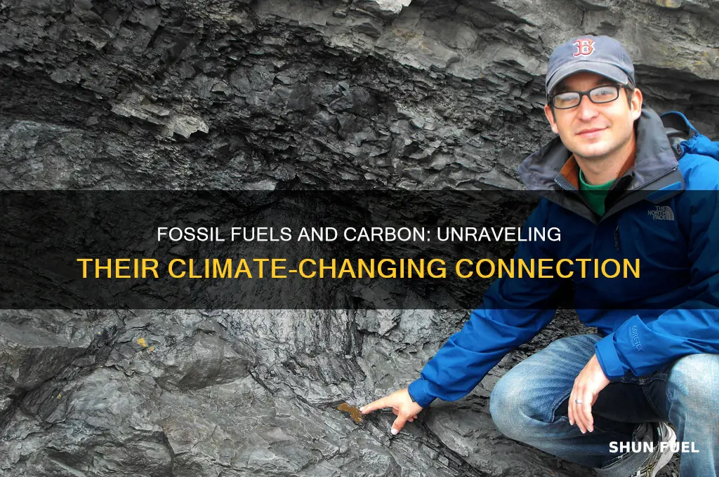 what is the link between fossil fuels and carbon