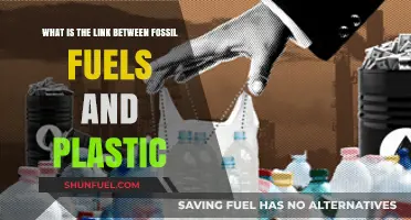 Fossil Fuels and Plastic: Uncovering Their Interconnected Environmental Impact