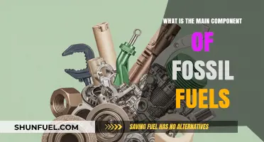 Understanding Fossil Fuels: The Key Component Driving Energy Production