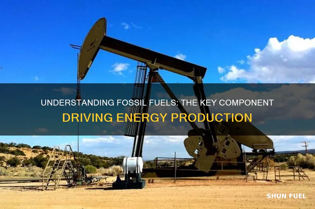what is the main component of fossil fuels