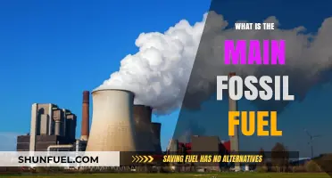 Understanding the Primary Fossil Fuel: A Comprehensive Overview