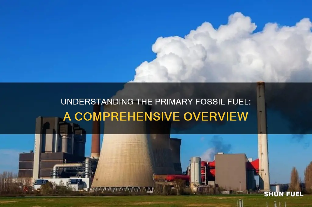 what is the main fossil fuel