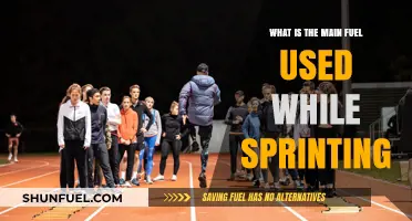 Sprinting's Primary Fuel Source: Unlocking the Science Behind Speed