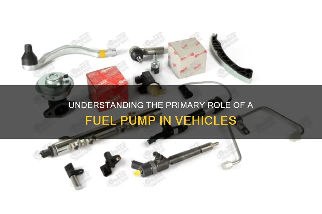 what is the main function of fuel pump