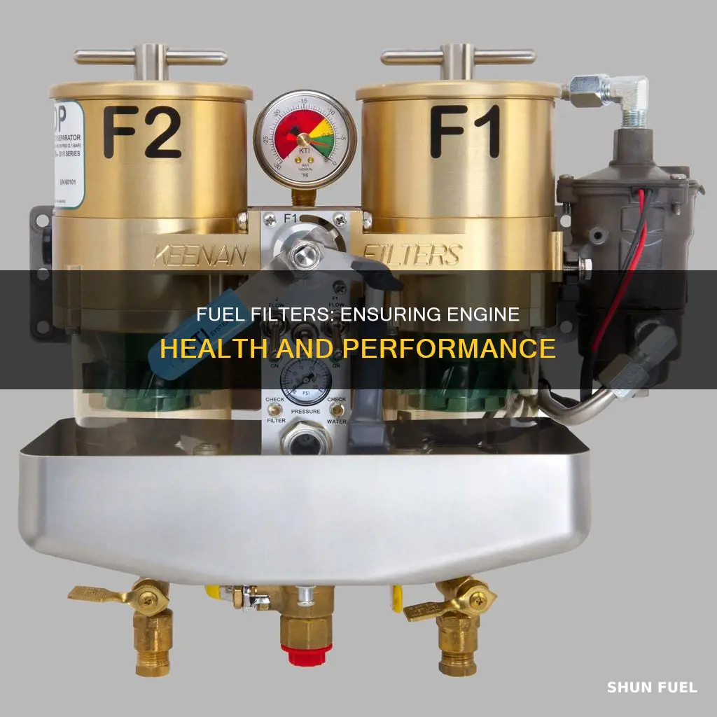 what is the main job of a fuel filter