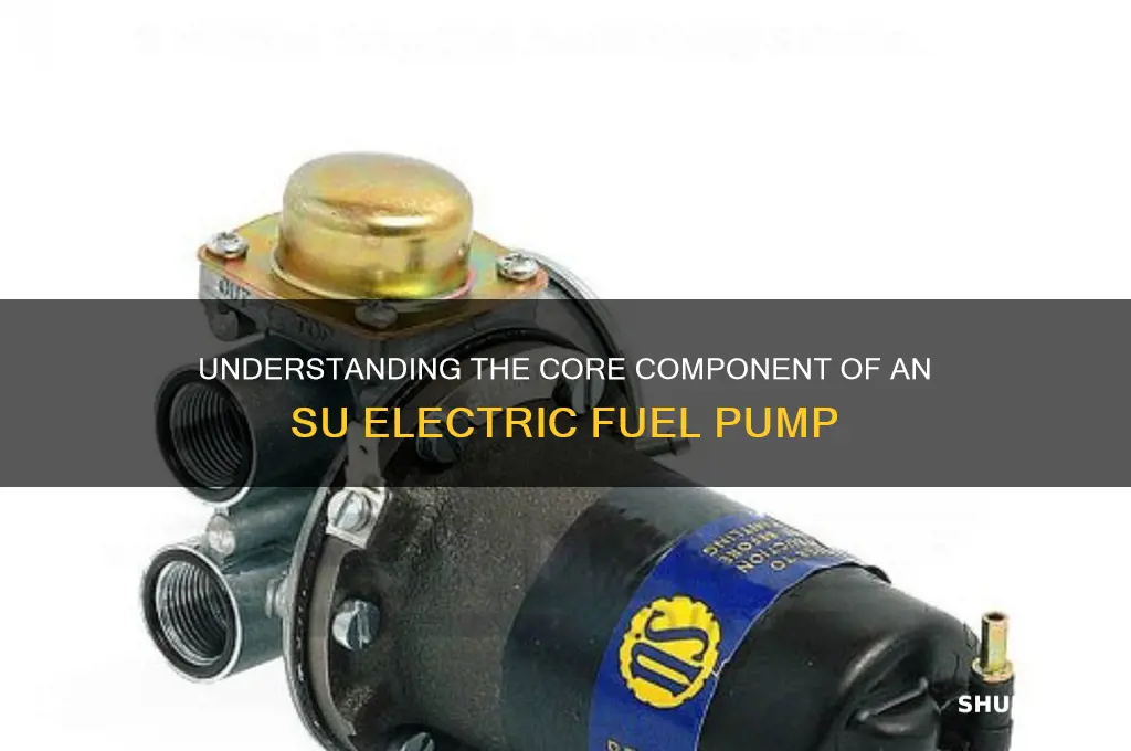 what is the main part of su electric fuel pump