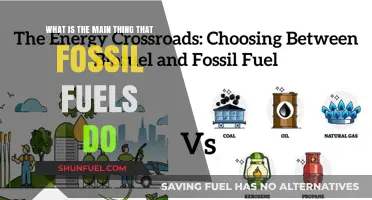 Fossil Fuels: Powering Our World, Damaging Our Climate