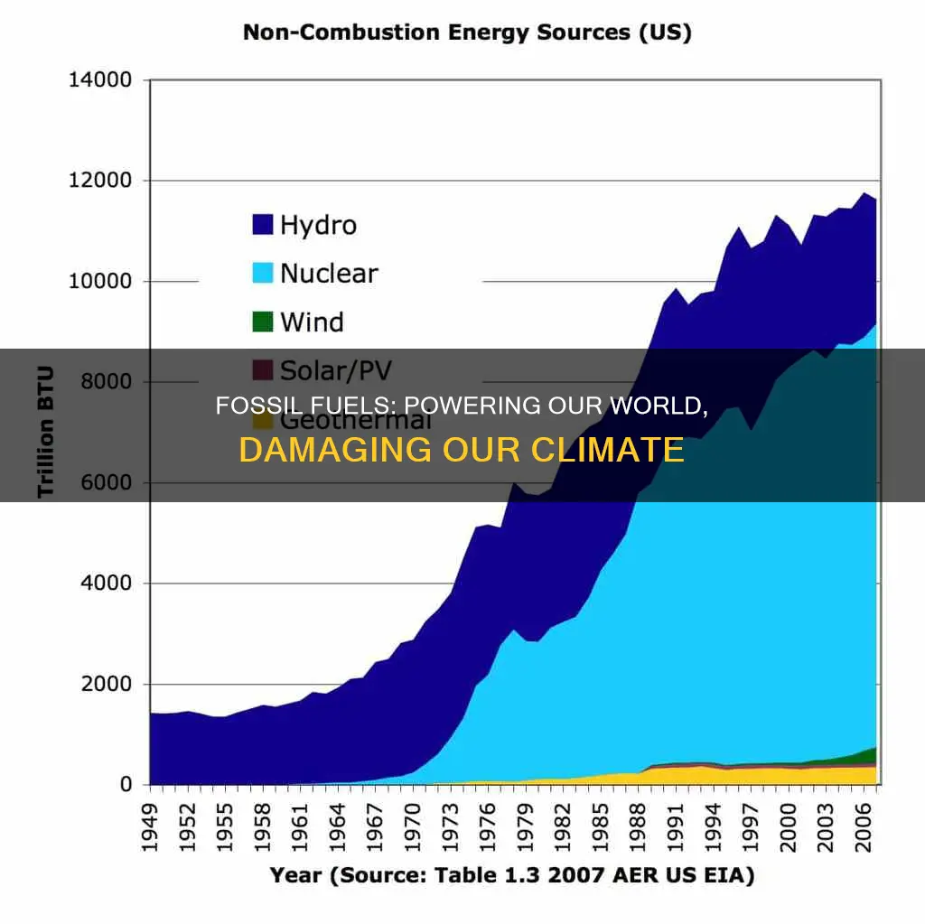 what is the main thing that fossil fuels do