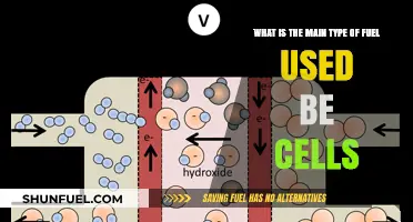 Understanding the Primary Fuel Source for Cellular Energy Production