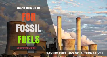 Fossil Fuels: Powering Energy, Industry, and Transportation Worldwide