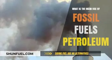 Fossil Fuels Petroleum: Primary Uses and Global Energy Dependence