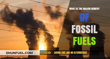 Fossil Fuels: Unlocking Energy Reliability and Global Economic Growth