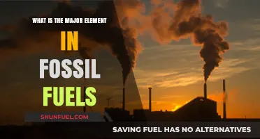 The Primary Component of Fossil Fuels: Unveiling Carbon's Dominance